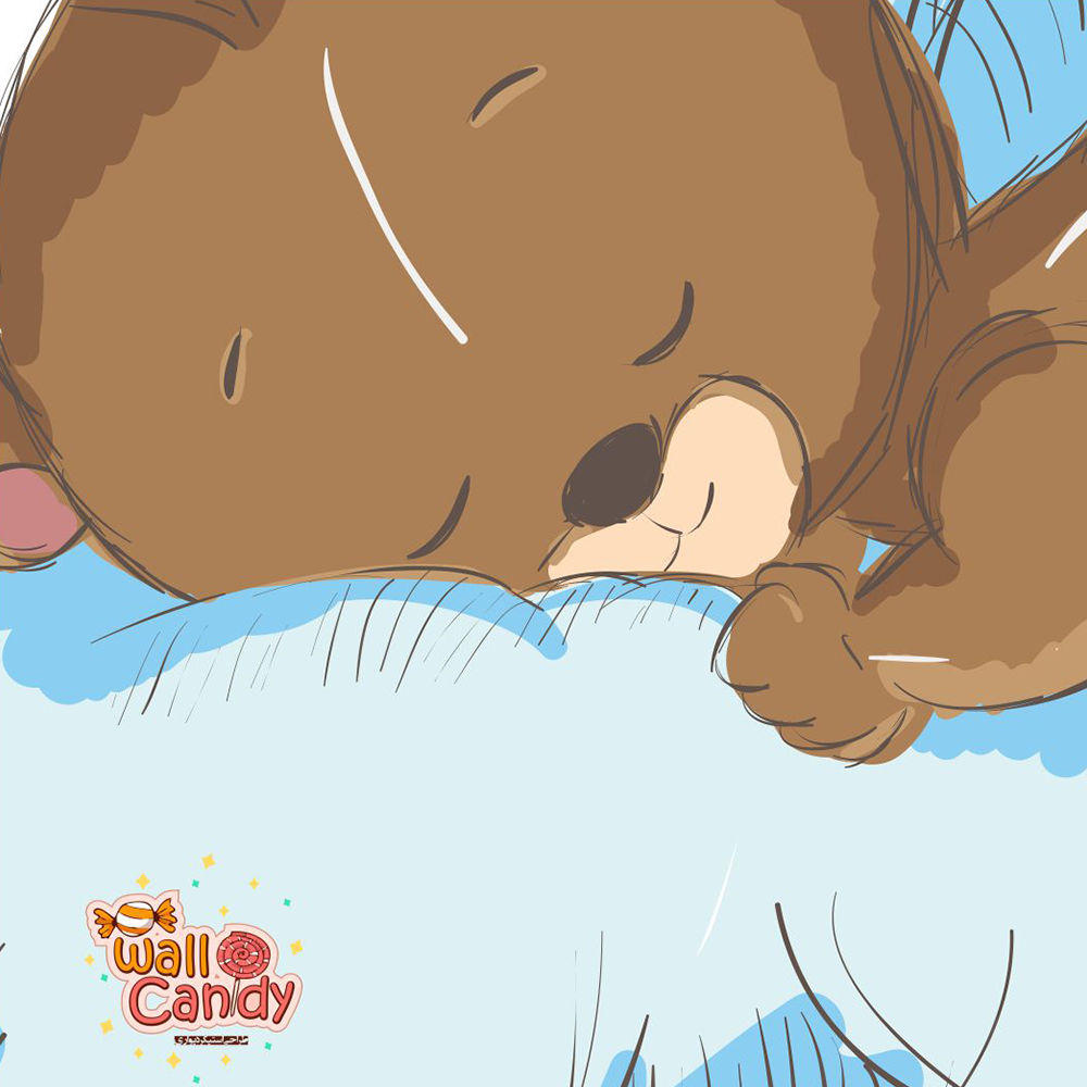 https://candywall.ir/wp-content/uploads/2024/07/22.png