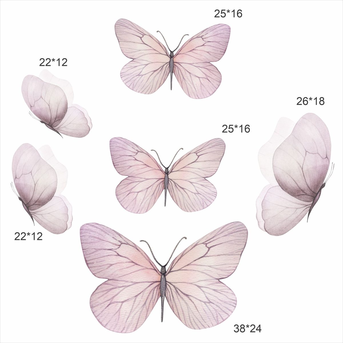 https://candywall.ir/wp-content/uploads/2025/01/02.jpg